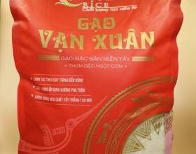Cách BHX bán gạo chứng tỏ họ hiểu KH từ những chi tiết nhỏ nhất