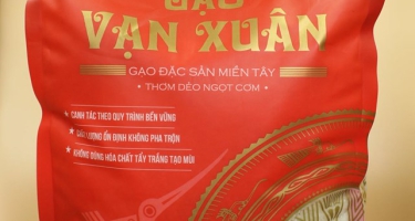 Cách BHX bán gạo chứng tỏ họ hiểu KH từ những chi tiết nhỏ nhất