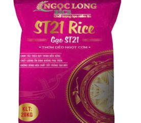 GẠO ST21 - 20KG