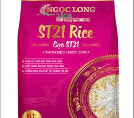 GẠO ST21 - 5KG